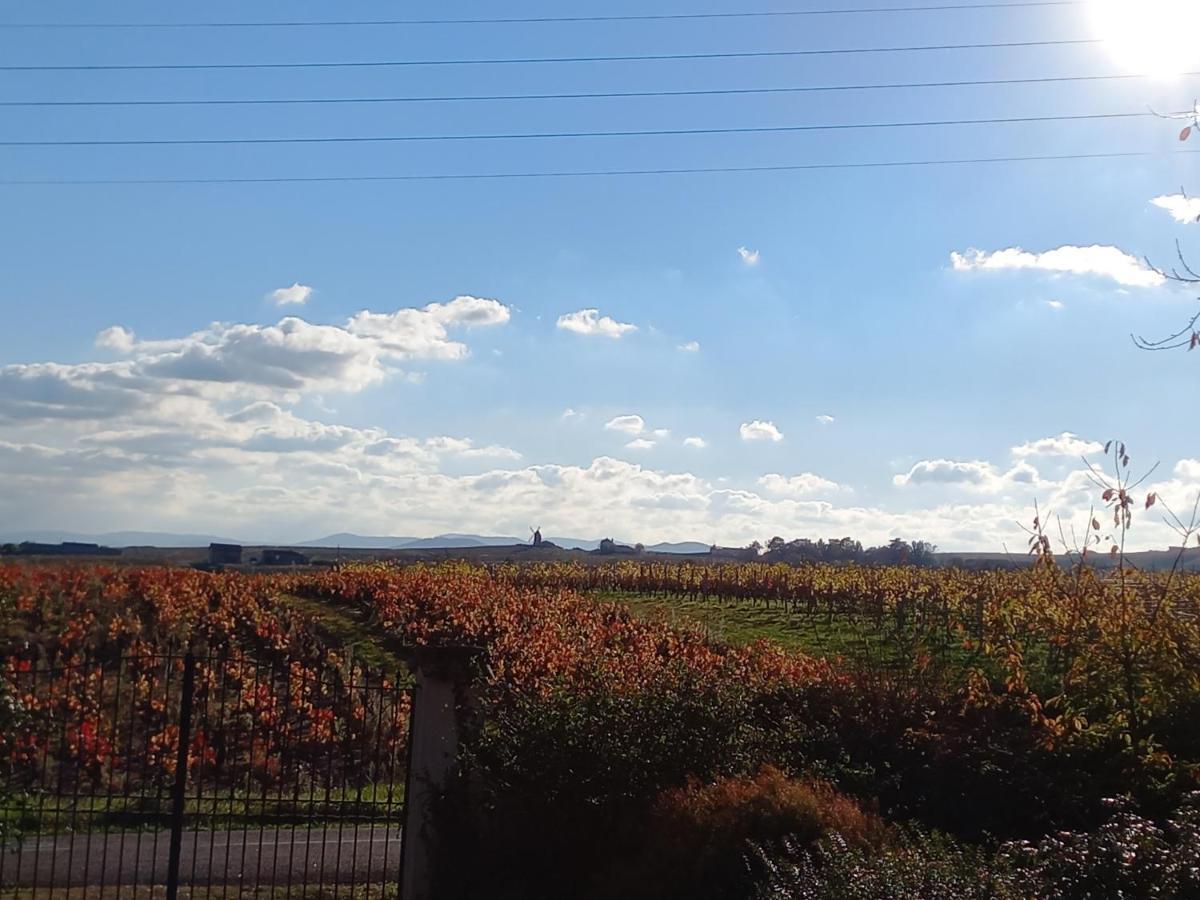L'Eglantyne Bed & Breakfast La Chapelle-de-Guinchay Exterior foto